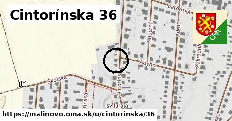 Cintorínska 36, Malinovo