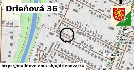 Drieňová 36, Malinovo