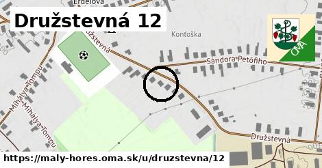 Družstevná 12, Malý Horeš