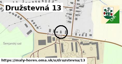 Družstevná 13, Malý Horeš