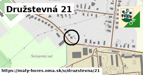 Družstevná 21, Malý Horeš