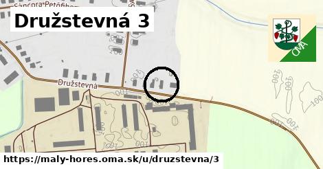 Družstevná 3, Malý Horeš