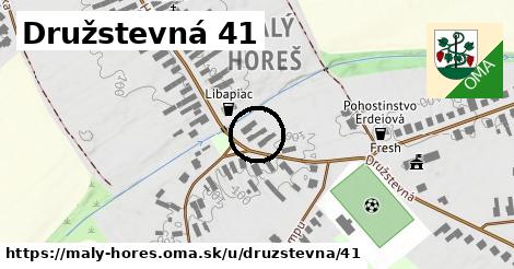 Družstevná 41, Malý Horeš