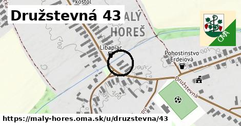 Družstevná 43, Malý Horeš