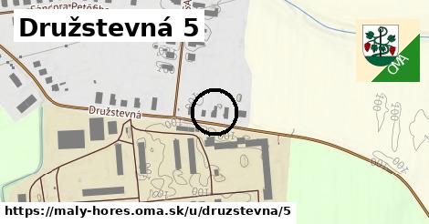 Družstevná 5, Malý Horeš