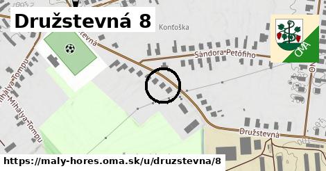 Družstevná 8, Malý Horeš