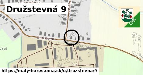 Družstevná 9, Malý Horeš