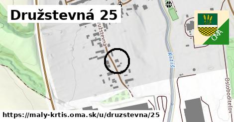 Družstevná 25, Malý Krtíš