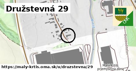 Družstevná 29, Malý Krtíš