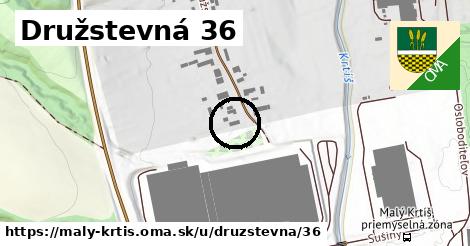 Družstevná 36, Malý Krtíš