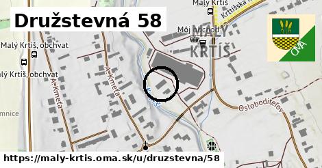 Družstevná 58, Malý Krtíš