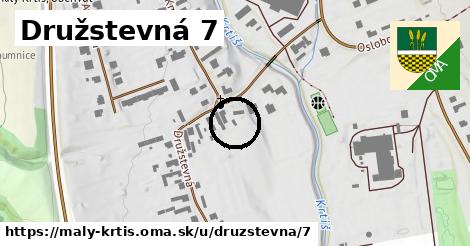 Družstevná 7, Malý Krtíš