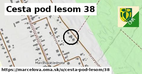 Cesta pod lesom 38, Marcelová