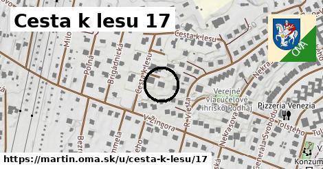 Cesta k lesu 17, Martin