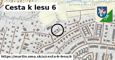 Cesta k lesu 6, Martin