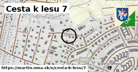 Cesta k lesu 7, Martin