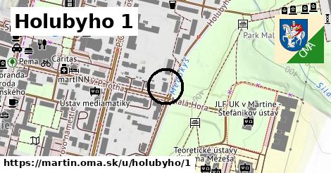 Holubyho 1, Martin