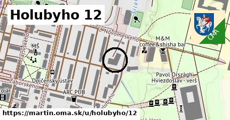 Holubyho 12, Martin