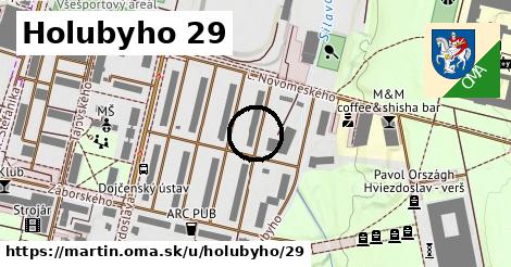 Holubyho 29, Martin