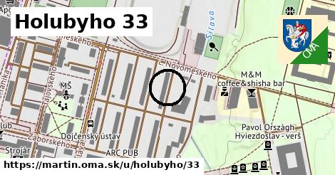 Holubyho 33, Martin