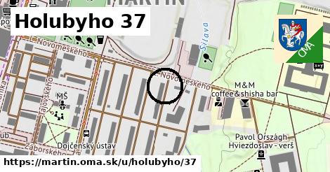 Holubyho 37, Martin