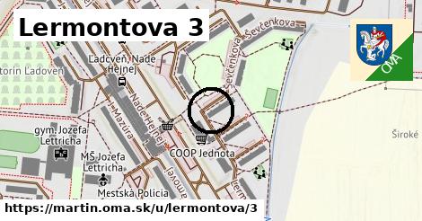 Lermontova 3, Martin