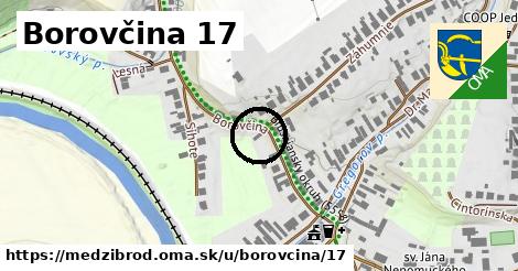 Borovčina 17, Medzibrod