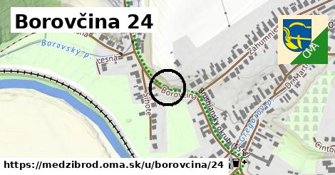 Borovčina 24, Medzibrod