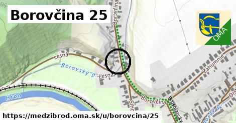 Borovčina 25, Medzibrod