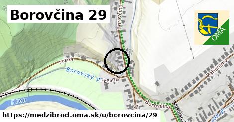 Borovčina 29, Medzibrod