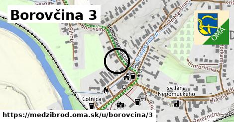 Borovčina 3, Medzibrod