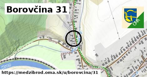 Borovčina 31, Medzibrod
