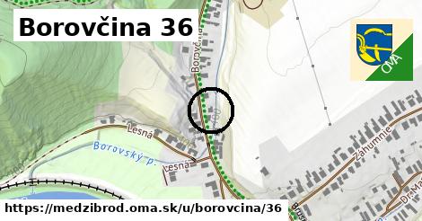 Borovčina 36, Medzibrod