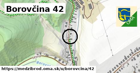 Borovčina 42, Medzibrod