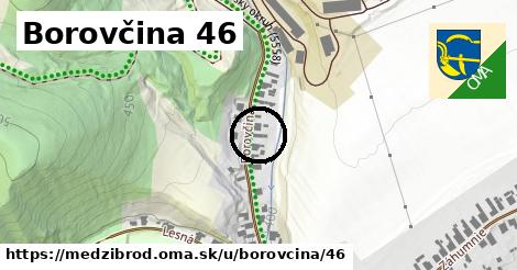 Borovčina 46, Medzibrod