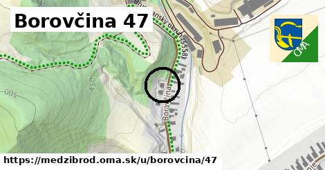 Borovčina 47, Medzibrod