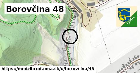 Borovčina 48, Medzibrod