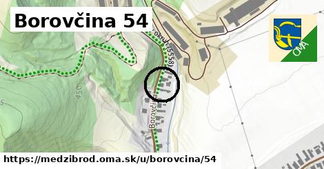 Borovčina 54, Medzibrod