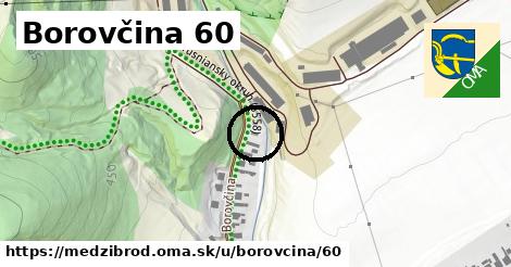 Borovčina 60, Medzibrod