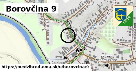 Borovčina 9, Medzibrod