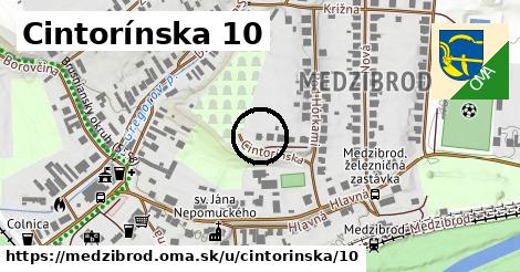 Cintorínska 10, Medzibrod