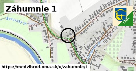 Záhumnie 1, Medzibrod