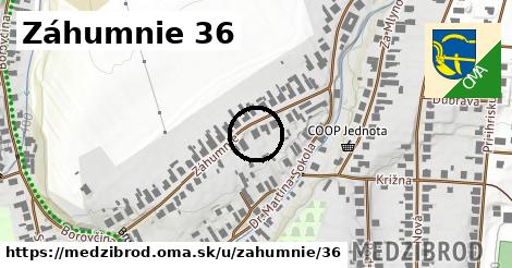 Záhumnie 36, Medzibrod