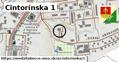 Cintorínska 1, Medzilaborce