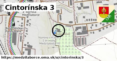 Cintorínska 3, Medzilaborce