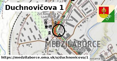 Duchnovičova 1, Medzilaborce