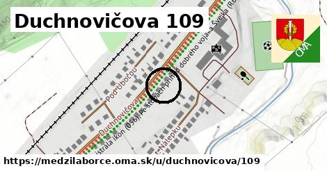 Duchnovičova 109, Medzilaborce