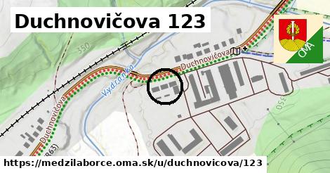 Duchnovičova 123, Medzilaborce