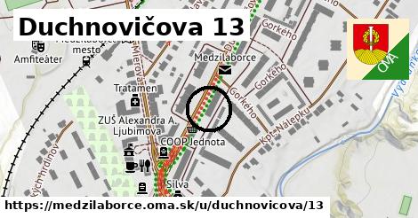 Duchnovičova 13, Medzilaborce