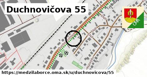 Duchnovičova 55, Medzilaborce